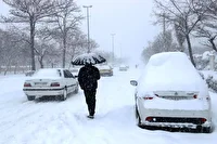 رکورد ۲۰ سانتی‌متری برف در تکاب؛ جنوب آذربایجان‌غربی زیر چتر بارش‌های پاییزی