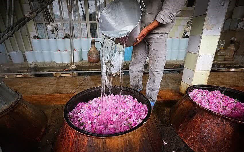 آغاز فصل گلاب‌گیری در خراسان شمالی