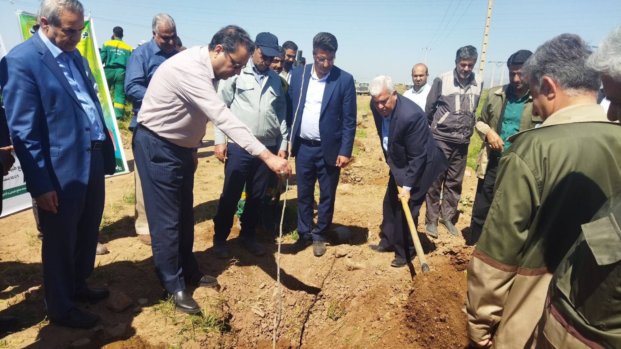 نهضت درختکاری در نیشابور ادامه دارد