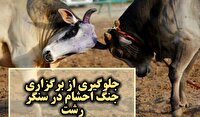 جلوگیری از برگزاری جنگ احشام در بخش سنگر رشت