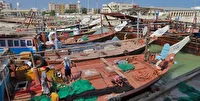 کشف ۴۵۰۰ کیلوگرم ماهی ساردین بدون مجوز در استان بوشهر